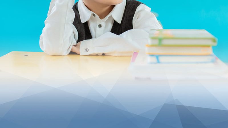 k12网课哪家性价比高